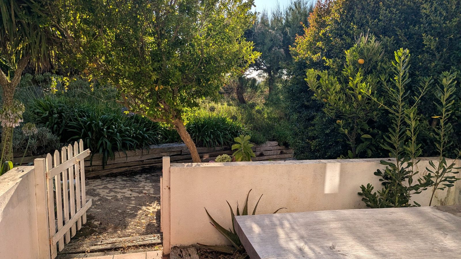 The garden, with the gate and planted beds.