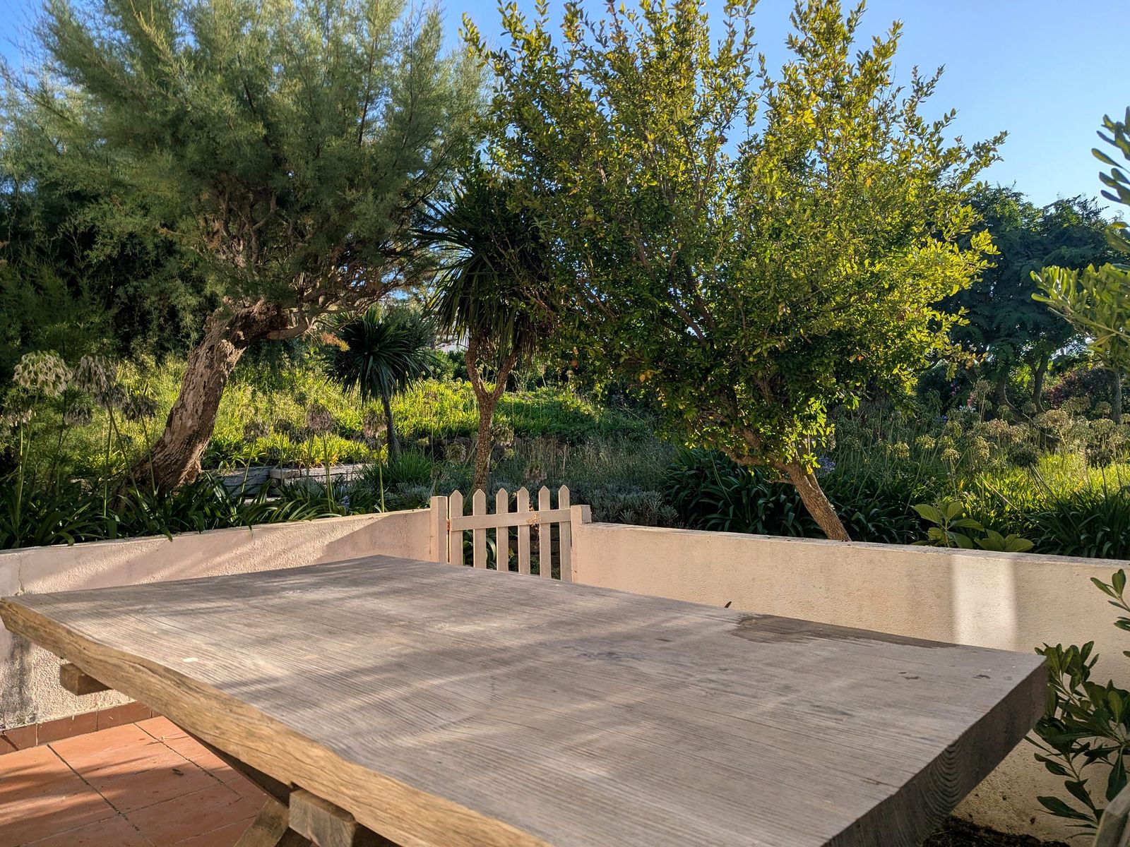 Outdoor table on the terrace, looking into the garden.